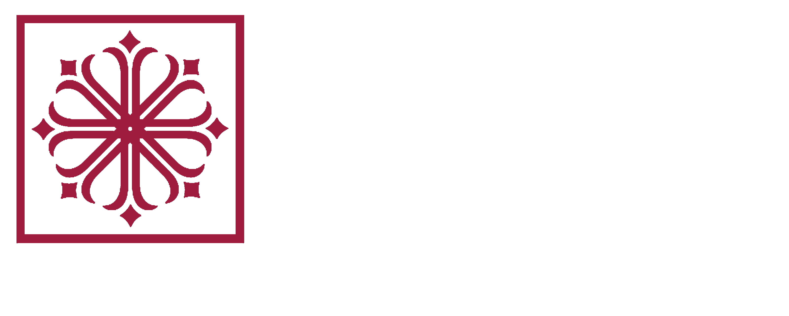 Arvind Iconia