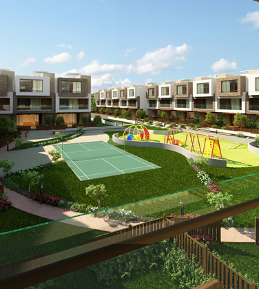 Arvind Expansia