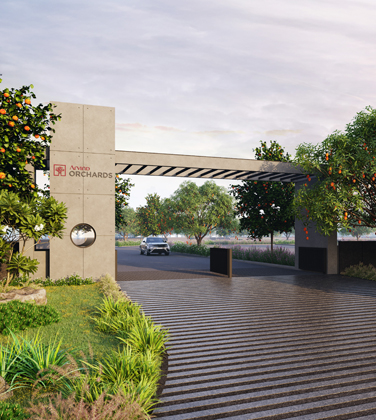 Arvind Orchards
